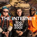 Too Many Zooz - The Internet