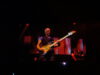 sting-in-afas-2022-03-25-10