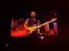 sting-in-afas-2022-03-25-9