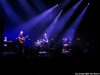 racoon-in-het-park-2021-11-05-11
