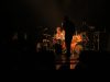racoon-in-het-park-2021-11-05-6